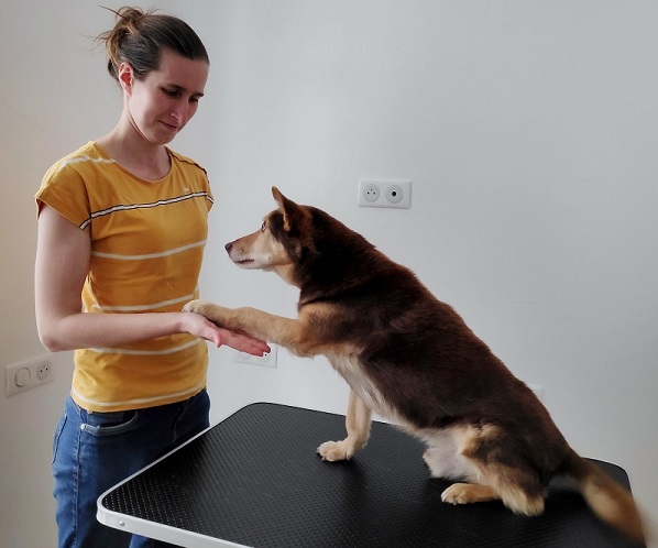 Eugénie DELAUNE, professeur ostéopathe animalier, structurel, viscéral et crânien - Cabinet ostéopathie animale Paris Chien